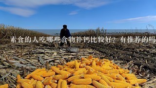 素食的人吃哪些食物补钙比较好？有推荐的吗？