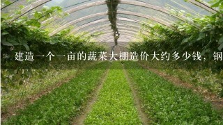 建造1个1亩的蔬菜大棚造价大约多少钱，钢结构的！