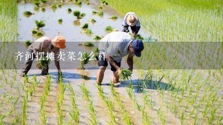 齐河摆摊卖菜怎么样