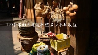 150平米的大棚能种植多少木耳收益