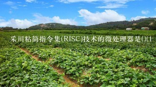 采川粘简指令集(RISC)技术的微处理器是()(1 分)