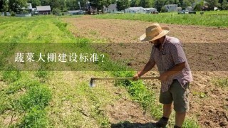 蔬菜大棚建设标准？