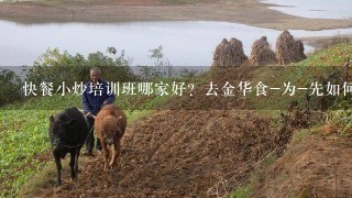 快餐小炒培训班哪家好？去金华食-为-先如何？