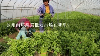 苏州南环蔬菜批发市场在哪里？