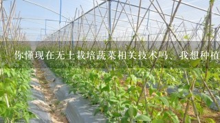 你懂现在无土栽培蔬菜相关技术吗、我想种植但无任何经验和技术望你指导我