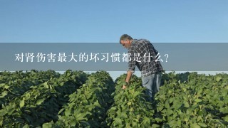 对肾伤害最大的坏习惯都是什么？