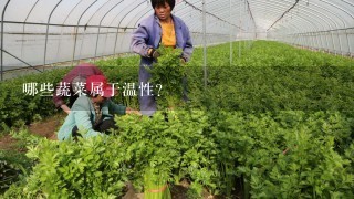 哪些蔬菜属于温性？