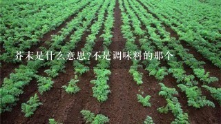 芥末是什么意思?不是调味料的那个