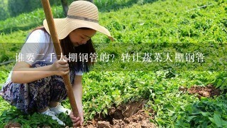 谁要2手大棚钢管的？转让蔬菜大棚钢管