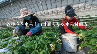 各种应季水果上市时间表及吃水果时间表