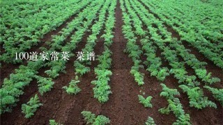 100道家常菜 菜谱