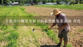 上海闵行哪里有新开的农贸批发菜市场 拜托，求