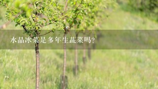 水晶冰菜是多年生蔬菜吗？