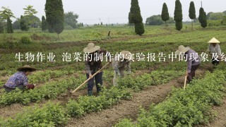 生物作业 泡菜的制作的实验报告中的现象及结果要怎