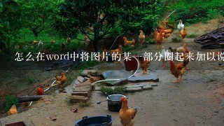 怎么在word中将图片的某1部分圈起来加以说明