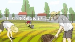 4川哪个学校可以培训大棚蔬菜种植技术？