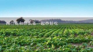 西兰花和什么菜1起炒好吃