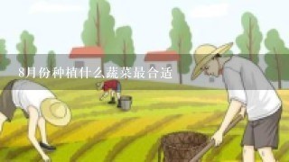 8月份种植什么蔬菜最合适