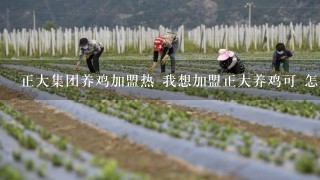 正大集团养鸡加盟热 我想加盟正大养鸡可 怎么 联系啊