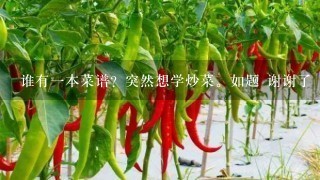 谁有1本菜谱？突然想学炒菜。如题 谢谢了