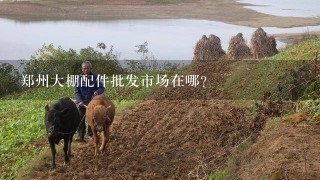 郑州大棚配件批发市场在哪?