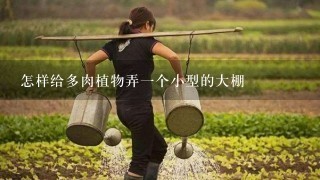 怎样给多肉植物弄1个小型的大棚