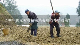 2010年国家对种植蔬菜有哪些补贴政策?