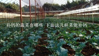 补钙的蔬菜有哪些 下面这几样菜能补钙