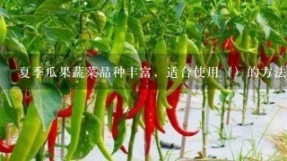 夏季瓜果蔬菜品种丰富，适合使用（）的方法。