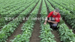 夏季吃什么菜好 10种时令蔬菜新鲜吃