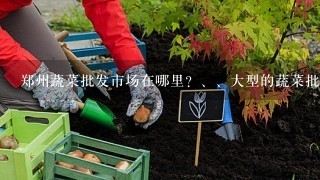 郑州蔬菜批发市场在哪里？、大型的蔬菜批发市场有哪些？？