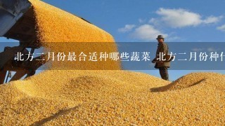 北方2月份最合适种哪些蔬菜 北方2月份种什么蔬菜最合适