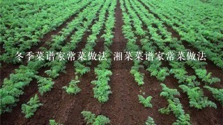 冬季菜谱家常菜做法 湘菜菜谱家常菜做法