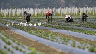 关于主食的英文单词