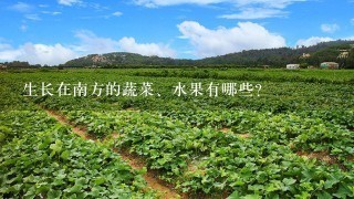 生长在南方的蔬菜、水果有哪些？