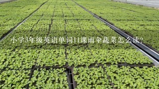 小学3年级英语单词11课雨伞蔬菜怎么读？