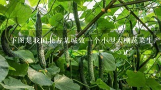 下图是我国北方某城效1个小型大棚蔬菜生产模式图，棚顶用塑料薄膜密封，背面是冬季用以御寒和提高棚内温度的挡风墙...