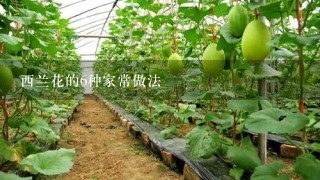 西兰花的6种家常做法