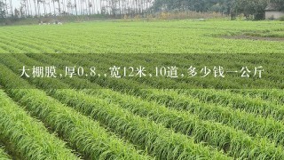 大棚膜,厚0.8,,宽12米,10道,多少钱1公斤