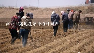 河北省露地蔬菜种植时间表