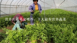 营养的蔬菜是哪些：十大最有营养蔬菜