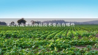 无公害蔬菜的种植技术要点有哪些