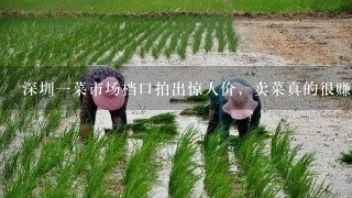 深圳1菜市场档口拍出惊人价，卖菜真的很赚钱吗？