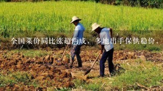 全国菜价同比涨超两成，多地出手保供稳价，蔬菜价格