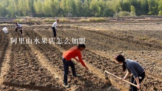 阿里山水果店怎么加盟