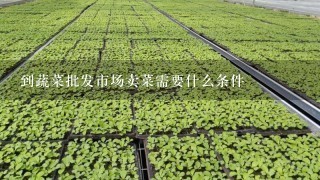 到蔬菜批发市场卖菜需要什么条件