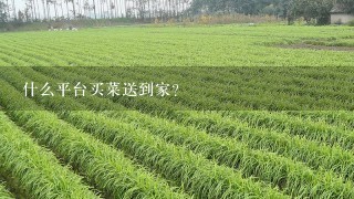 什么平台买菜送到家？