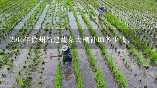 2016年徐州新建蔬菜大棚补助多少钱,