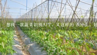 想找1款蔬菜识别APP，又这样的 App么，好想用来认识蔬菜，尤其是国外的1些从未见过的蔬菜，谢谢