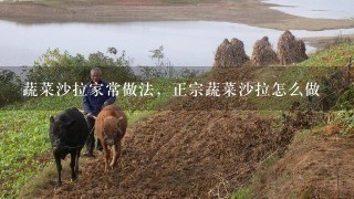 蔬菜沙拉家常做法，正宗蔬菜沙拉怎么做